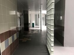 Blk 250D Compassvale Haven (Sengkang), HDB Executive #578666011